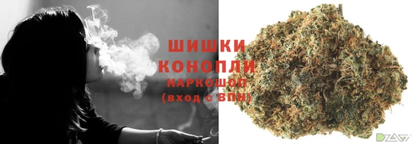 PSILOCYBIN Аркадак