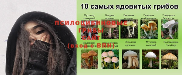 PSILOCYBIN Аркадак