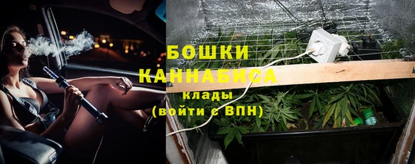 PSILOCYBIN Аркадак