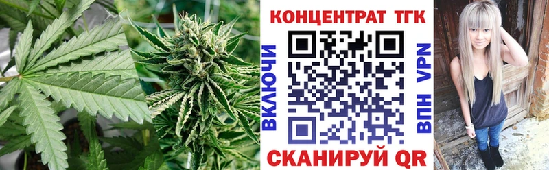 где можно купить shop телеграм ТГК концентрат Билибино