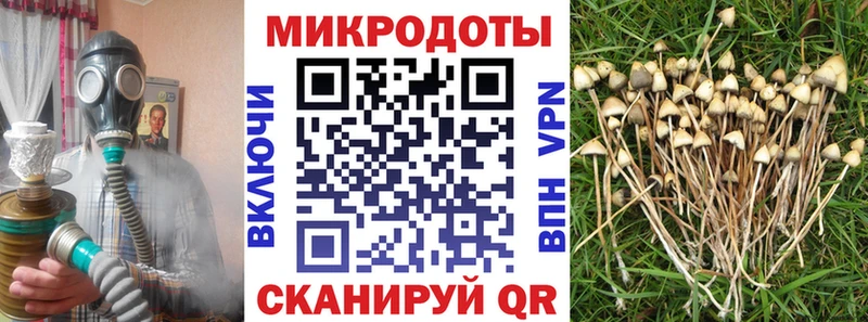 blacksprut tor  Билибино  Псилоцибиновые грибы MAGIC MUSHROOMS 
